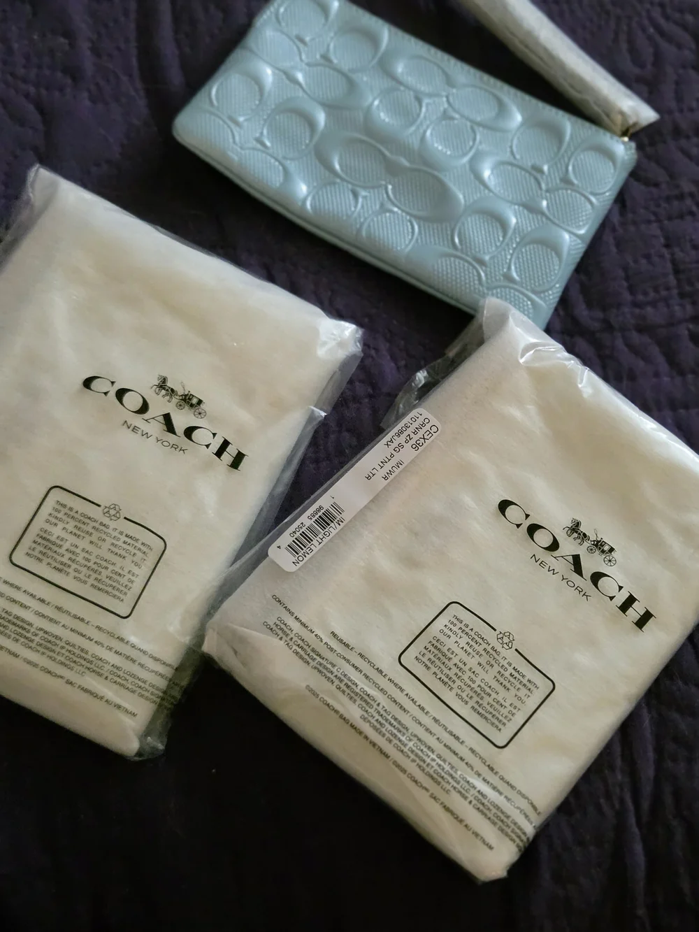 Coach Embossed Signature Leather Wristlet Pouch in Light Blue/ Cream